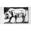 Cochon - Gravure