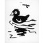 Jeune canard